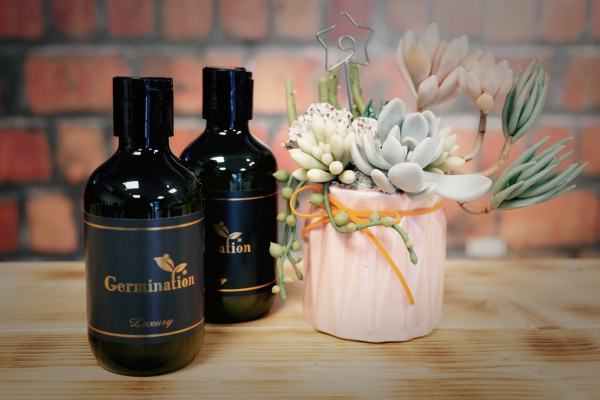 Germination Luxury 奢求封體(此點閱)