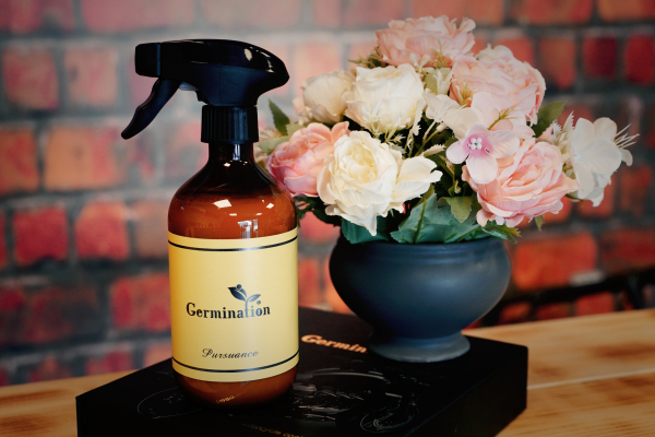 Germination Pursuance 追求棕梠維護劑(此點閱)