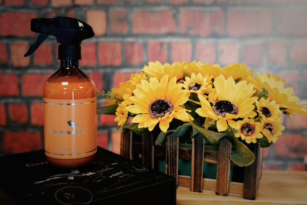 Germination Quiet 沉靜 檜木皮革乳(此點閱)